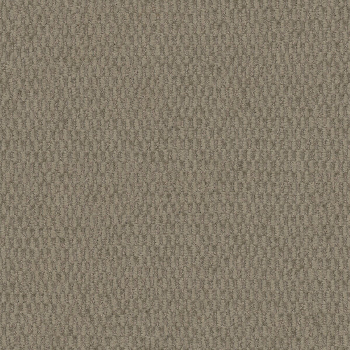 Vela 15